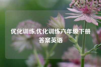 优化训练,优化训练六年级下册答案英语