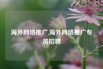 海外网络推广,海外网络推广专员招聘