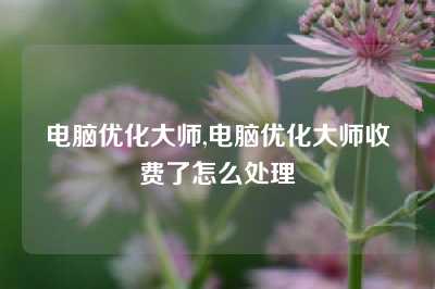 电脑优化大师,电脑优化大师收费了怎么处理