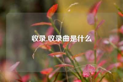 收录,收录曲是什么