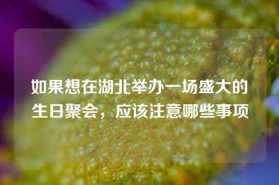 如果想在湖北举办一场盛大的生日聚会，应该注意哪些事项