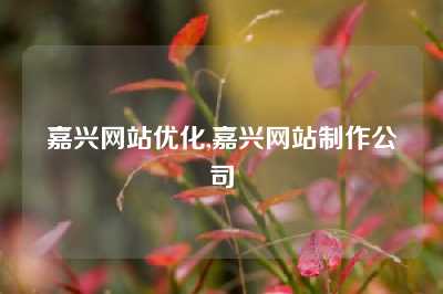 嘉兴网站优化,嘉兴网站制作公司