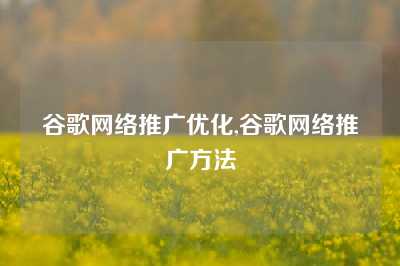 谷歌网络推广优化,谷歌网络推广方法