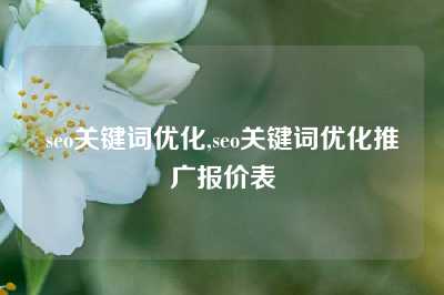 seo关键词优化,seo关键词优化推广报价表