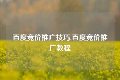 百度竞价推广技巧,百度竞价推广教程