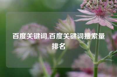 百度关键词,百度关键词搜索量排名