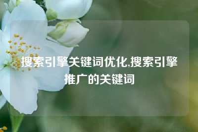 搜索引擎关键词优化,搜索引擎推广的关键词