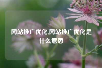 网站推广优化,网站推广优化是什么意思