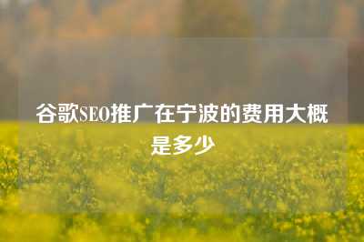 谷歌SEO推广在宁波的费用大概是多少