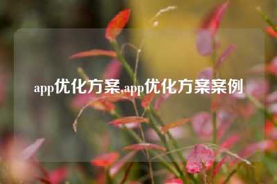 app优化方案,app优化方案案例