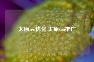 太原seo优化,太原seo推广