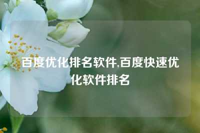 百度优化排名软件,百度快速优化软件排名