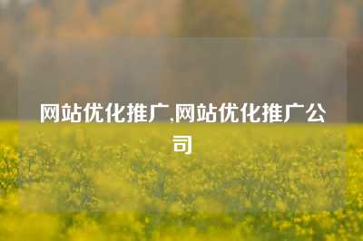 网站优化推广,网站优化推广公司