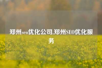 郑州seo优化公司,郑州SEO优化服务