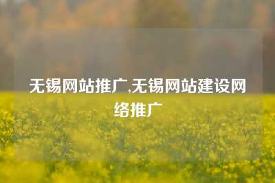 无锡网站推广,无锡网站建设网络推广