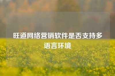 旺道网络营销软件是否支持多语言环境