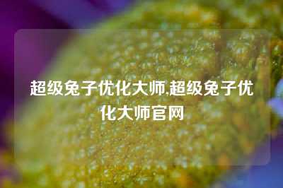 超级兔子优化大师,超级兔子优化大师官网