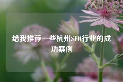 给我推荐一些杭州SEO行业的成功案例