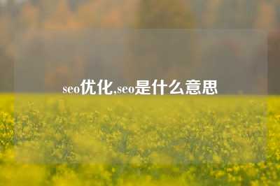 seo优化,seo是什么意思