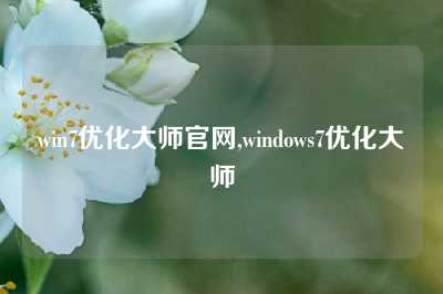 win7优化大师官网,windows7优化大师