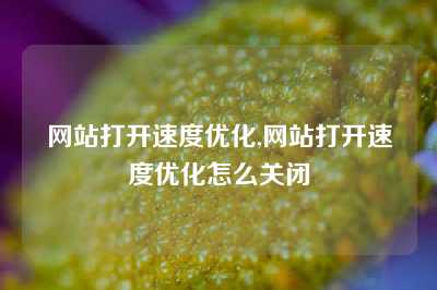 网站打开速度优化,网站打开速度优化怎么关闭