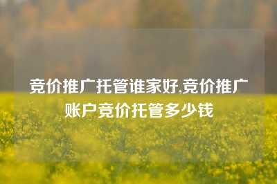 竞价推广托管谁家好,竞价推广账户竞价托管多少钱