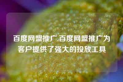 百度网盟推广,百度网盟推广为客户提供了强大的投放工具