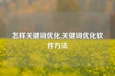 怎样关键词优化,关键词优化软件方法