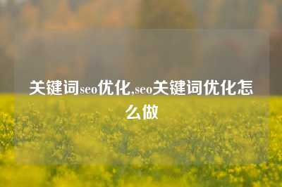 关键词seo优化,seo关键词优化怎么做