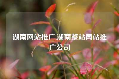 湖南网站推广,湖南整站网站推广公司