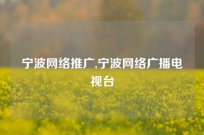 宁波网络推广,宁波网络广播电视台