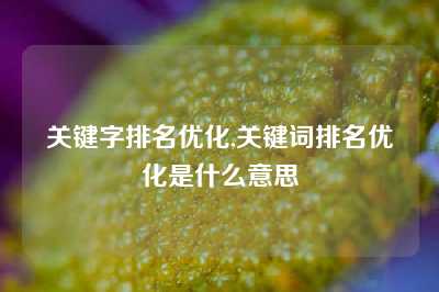 关键字排名优化,关键词排名优化是什么意思