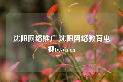 沈阳网络推广,沈阳网络教育电视tv.syn.cn