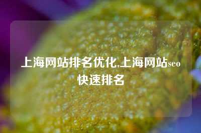 上海网站排名优化,上海网站seo快速排名