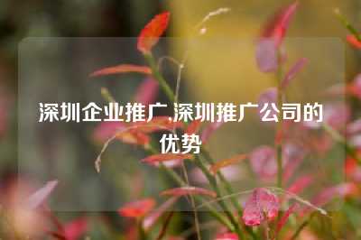 深圳企业推广,深圳推广公司的优势