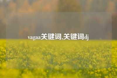 vagaa关键词,关键词dj