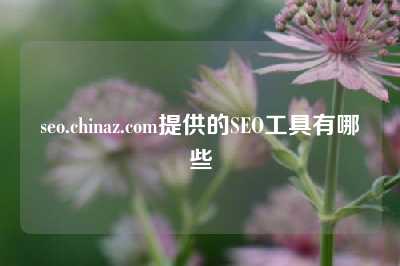 seo.chinaz.com提供的SEO工具有哪些