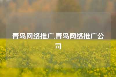 青岛网络推广,青岛网络推广公司