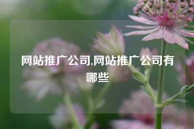 网站推广公司,网站推广公司有哪些