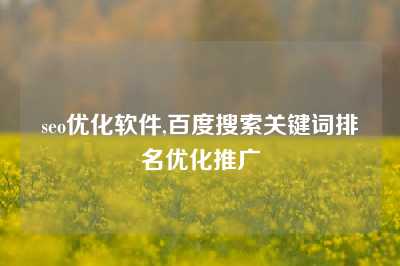 seo优化软件,百度搜索关键词排名优化推广