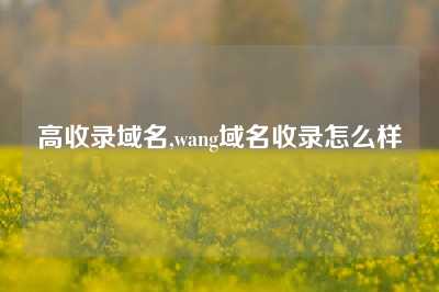 高收录域名,wang域名收录怎么样