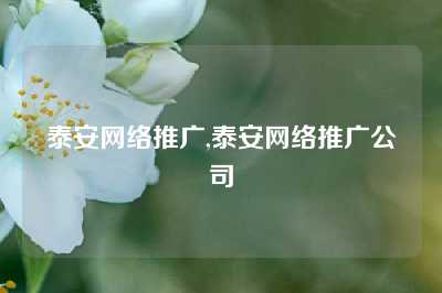 泰安网络推广,泰安网络推广公司