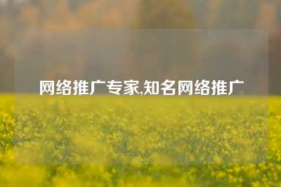 网络推广专家,知名网络推广