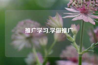 推广学习,学做推广