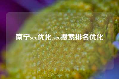 南宁seo优化,seo搜索排名优化