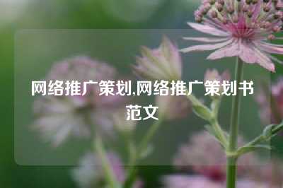 网络推广策划,网络推广策划书范文