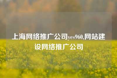 上海网络推广公司yes960,网站建设网络推广公司