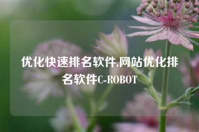 优化快速排名软件,网站优化排名软件C-ROBOT