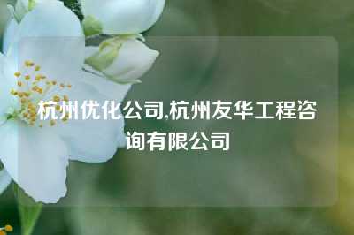 杭州优化公司,杭州友华工程咨询有限公司