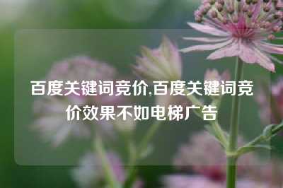 百度关键词竞价,百度关键词竞价效果不如电梯广告